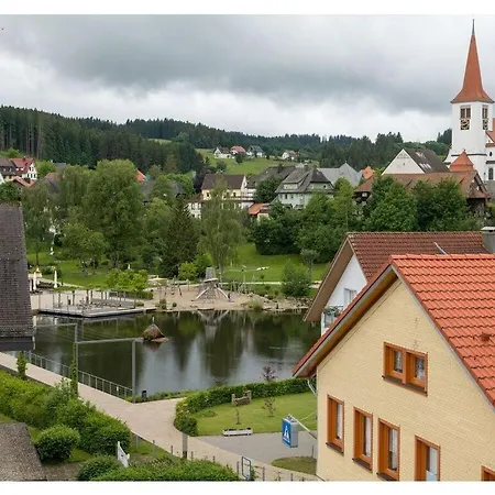 Zum Kuckuck Black Forest Holiday home Schonach im Schwarzwald