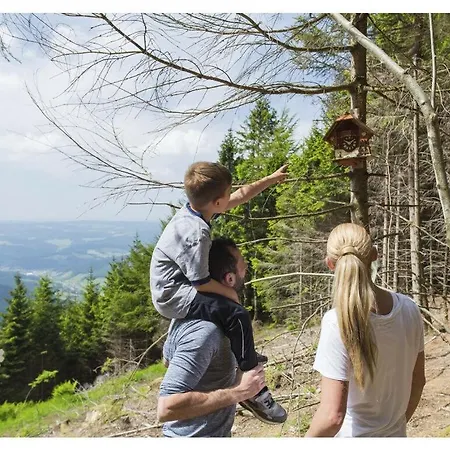 Holiday home Zum Kuckuck Black Forest Schonach im Schwarzwald